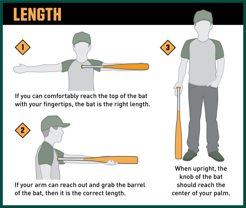 Sports Bat: What to Look for? A Buyers Guide