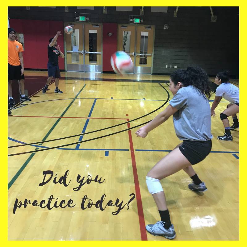 Play Volleyball Match Game: Simple Guide for Beginners to Start Today!