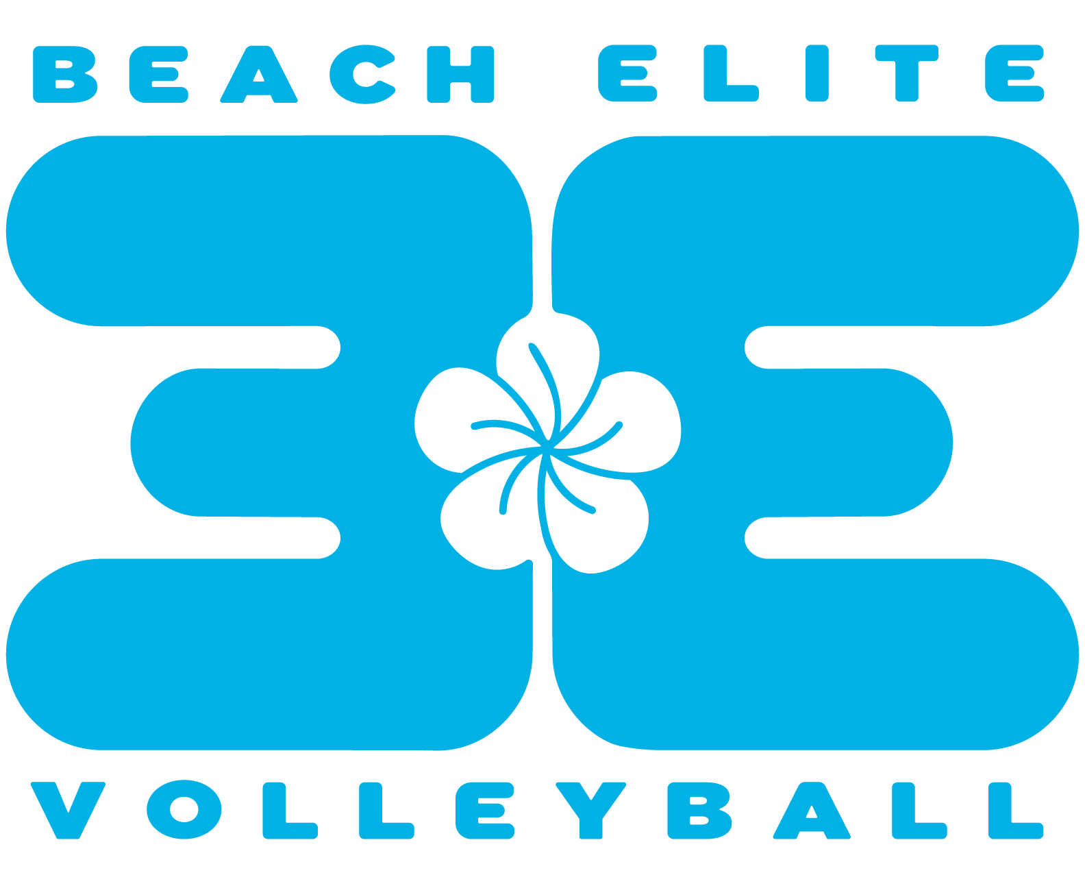 Need a Great Volleyball Program? Try Beach Elite Volleyball Club