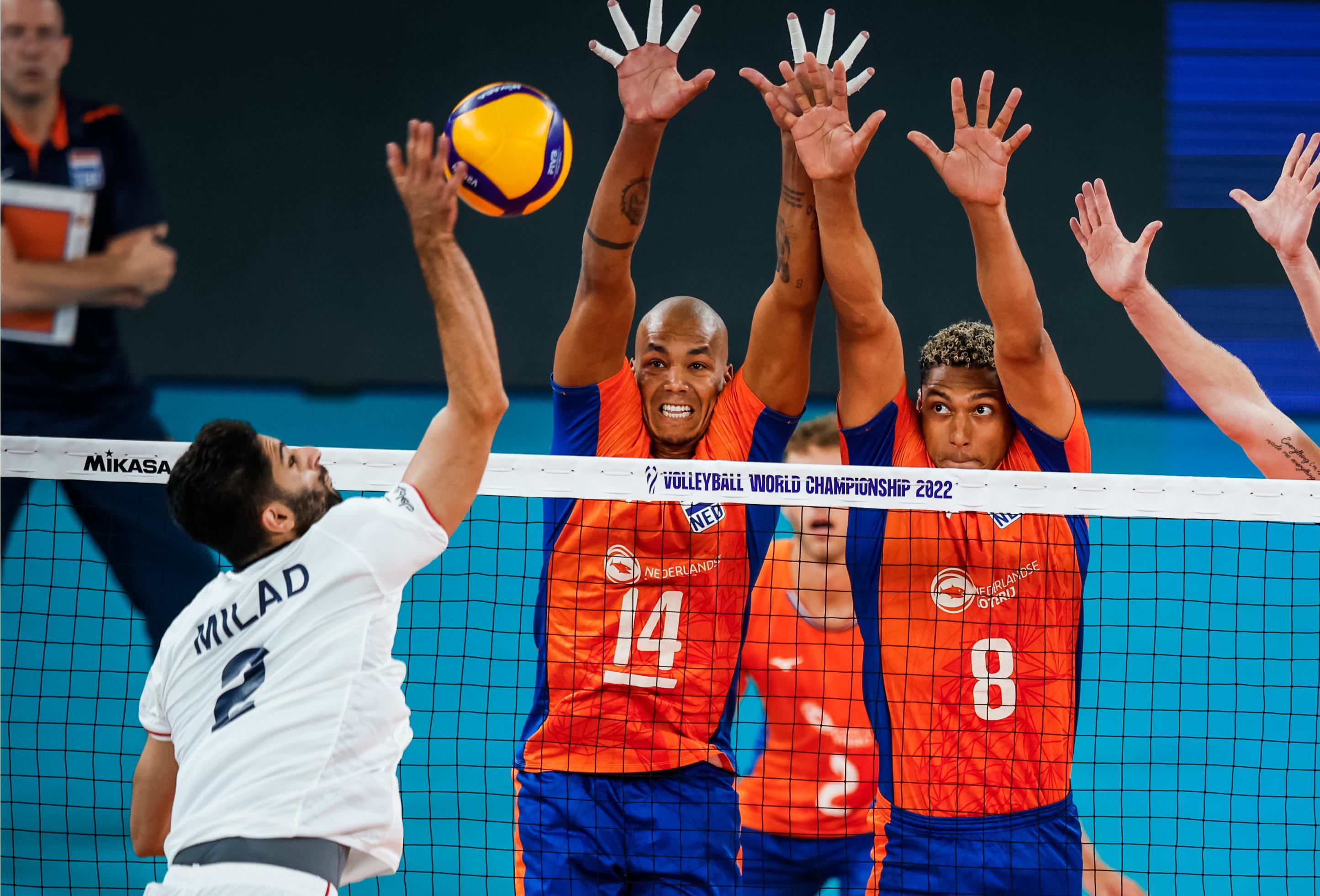 All About Nimir Mens Volleyball: Your Guide to Players and Matches