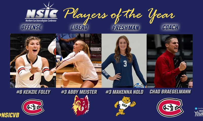 nsic volleyball Who are the Best Players? (Find Your New Favorite Star!)