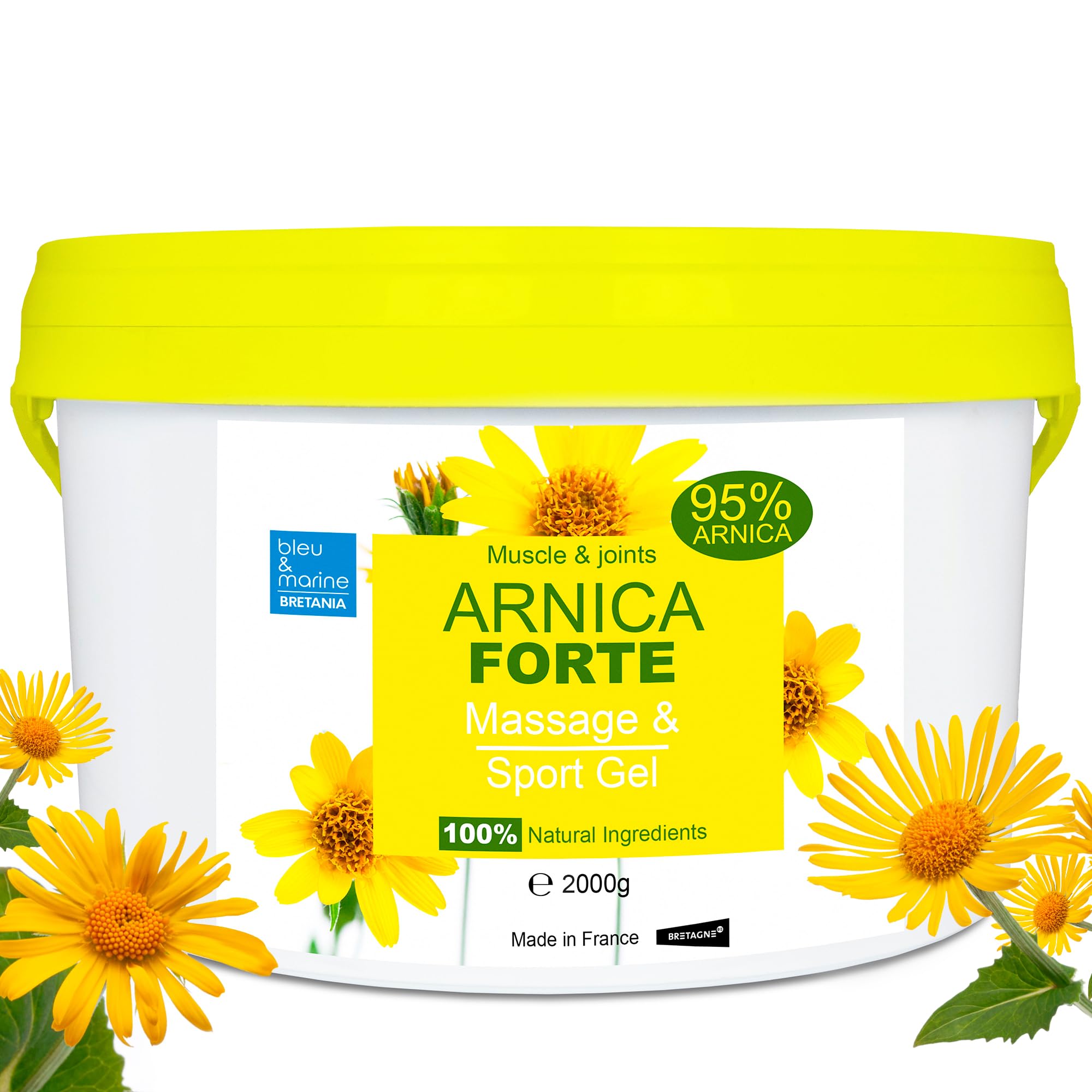 Arnica Sports for Athletes: Reduce Bruising & Soreness Fast.