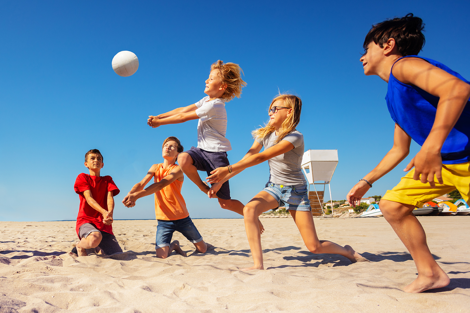 Sheep volleyball game: Fun for all ages and easy to play!