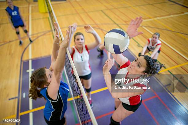 See picture of volleyball game: Awesome Photos of Spikes, Blocks & Dives!