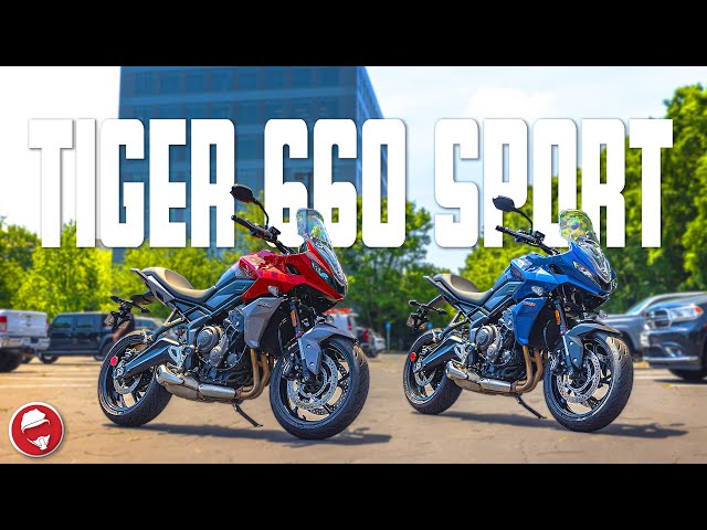 660 Sport: What You Need to Know (Beginners Guide)