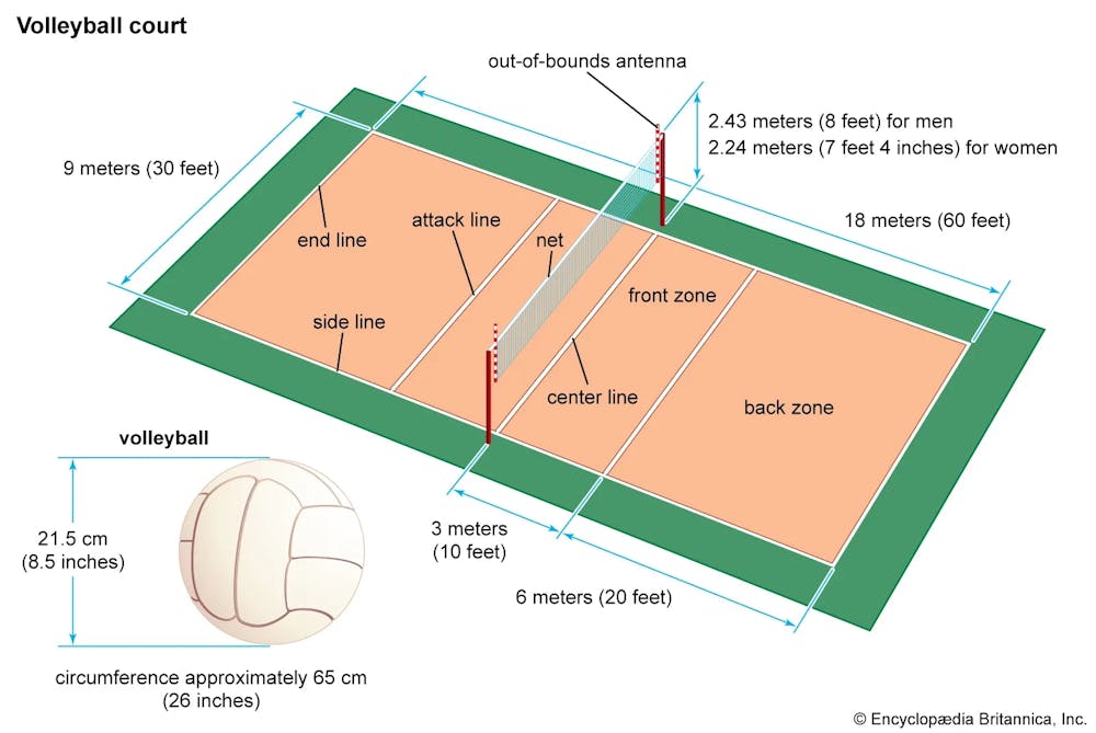 College Volleyball Sets: How Many to Win a Game (Simple Rules)?