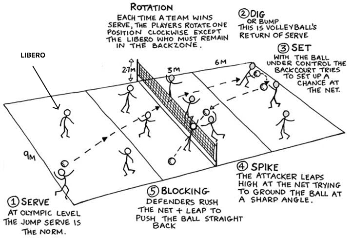 How many players in volleyball game? Get the facts on court setup!