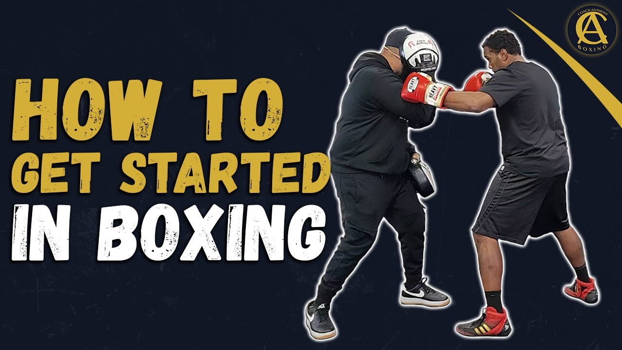 Boxer Sports Training: How to Get Started Right Now!