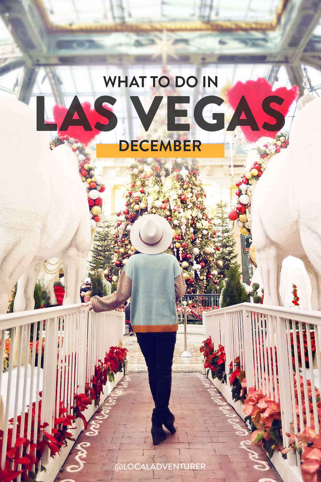 Best Vegas Entertainment December 2024: Find Concerts, Shows & More