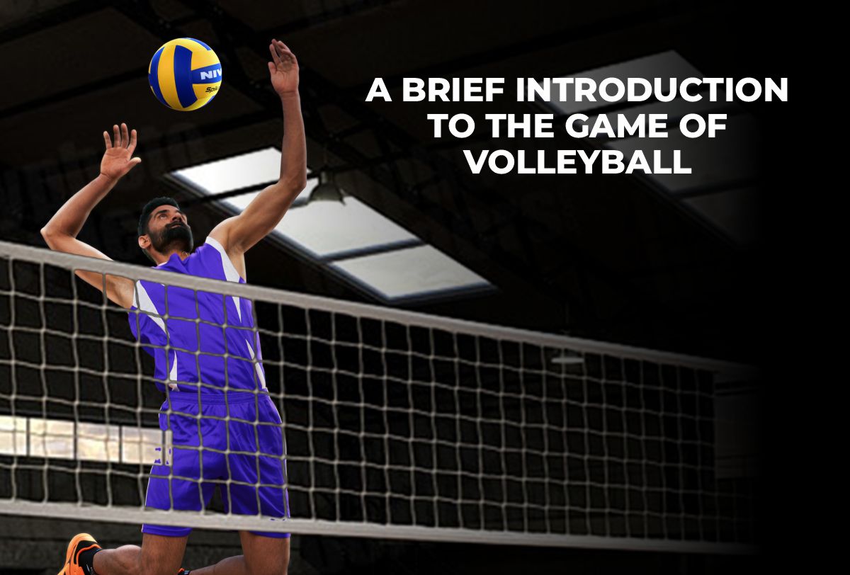 Volleyball Game Basics(introduction of volleyball game for Newbies)