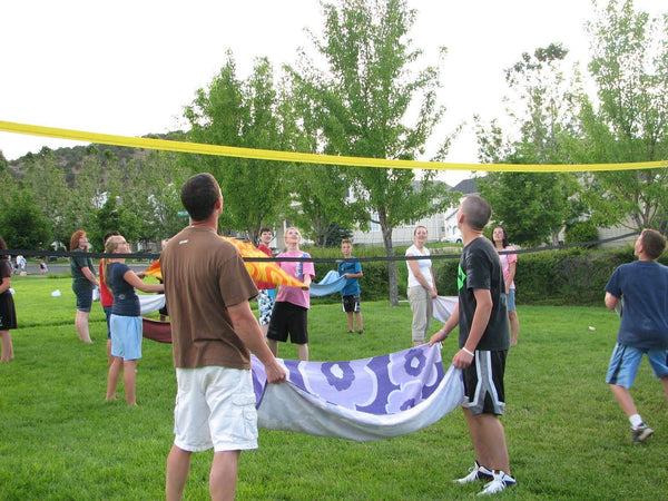 Sheep volleyball game: Fun for all ages and easy to play!