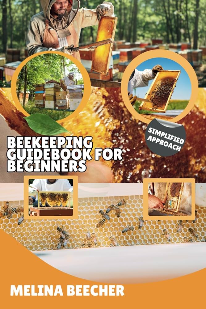 Bee Sport for Beginners: Your Easy Guide to Get Started!